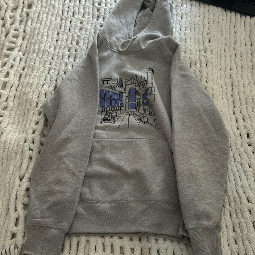 the north face hoodie